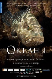 Океаны