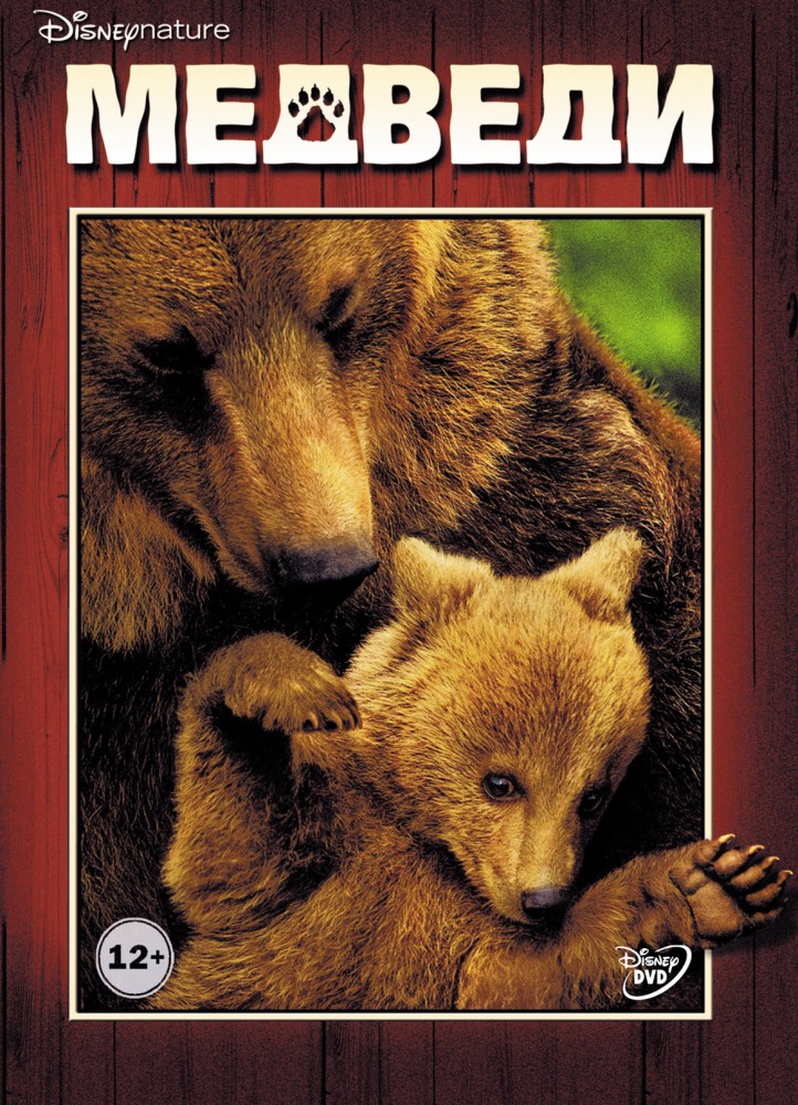 Медведи